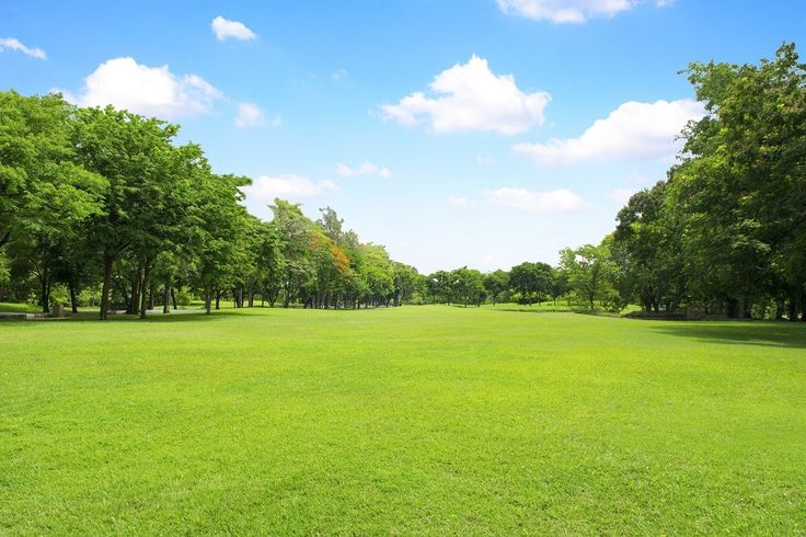 Espace public Medouneu